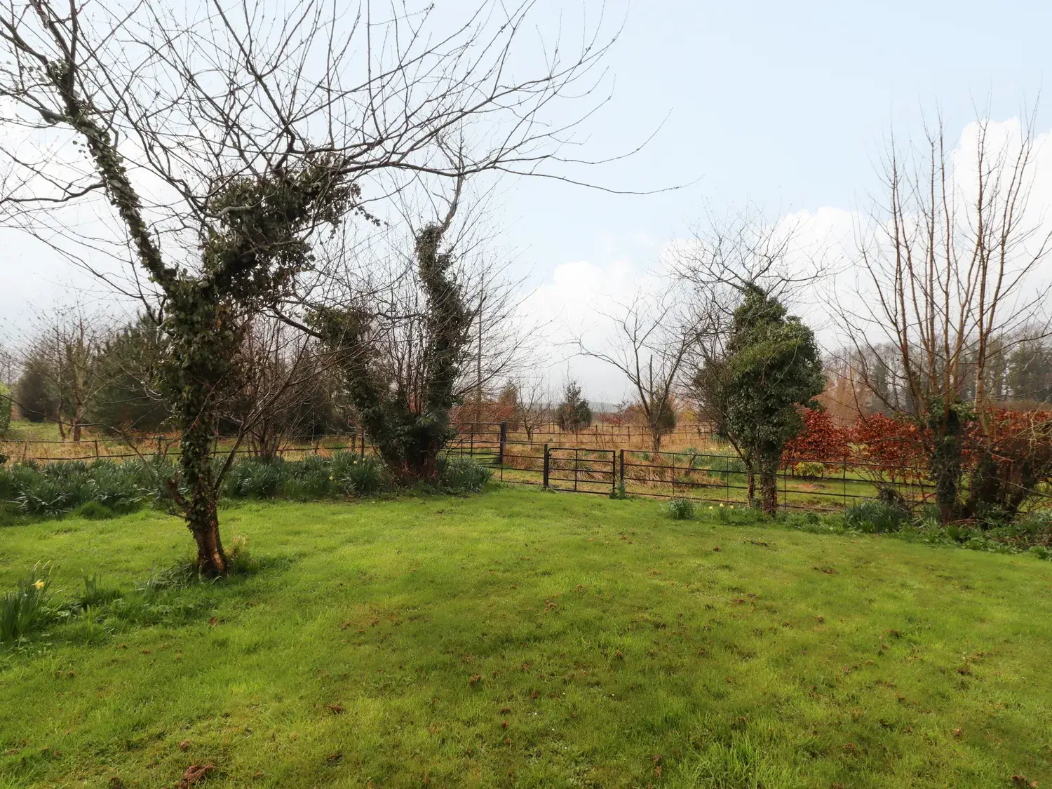 Paddy's Mount Garden